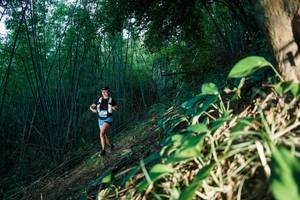 BIB: 
                            <button type="button" onclick="openModal(28123616)" class="btn btn-primary btn-sm float-right btn-popup" data-toggle="modal" data-target=".modal-high-quality">
                        <i class="fas fa-shopping-cart"></i> Add to Cart
                    </button>
                                            <button type="button" onclick="isThisMe(28123616, true)" class="btn btn-success btn-sm float-right btn-popup btn-isme hidden" data-toggle="tooltip" data-placement="bottom" title="นี่คือรูปของคุณใช่ไหม คลิกที่นี่เพื่อเอาเข้าอัลบั้ม">
                        <i class="fas fa-plus"></i> Add to album
                    </button>
                    <button type="button" onclick="isThisMe(28123616, false)" class="btn btn-warning btn-sm float-right btn-popup btn-isnotme hidden">
                        <i class="fas fa-ban"></i> Remove from album
                    </button>